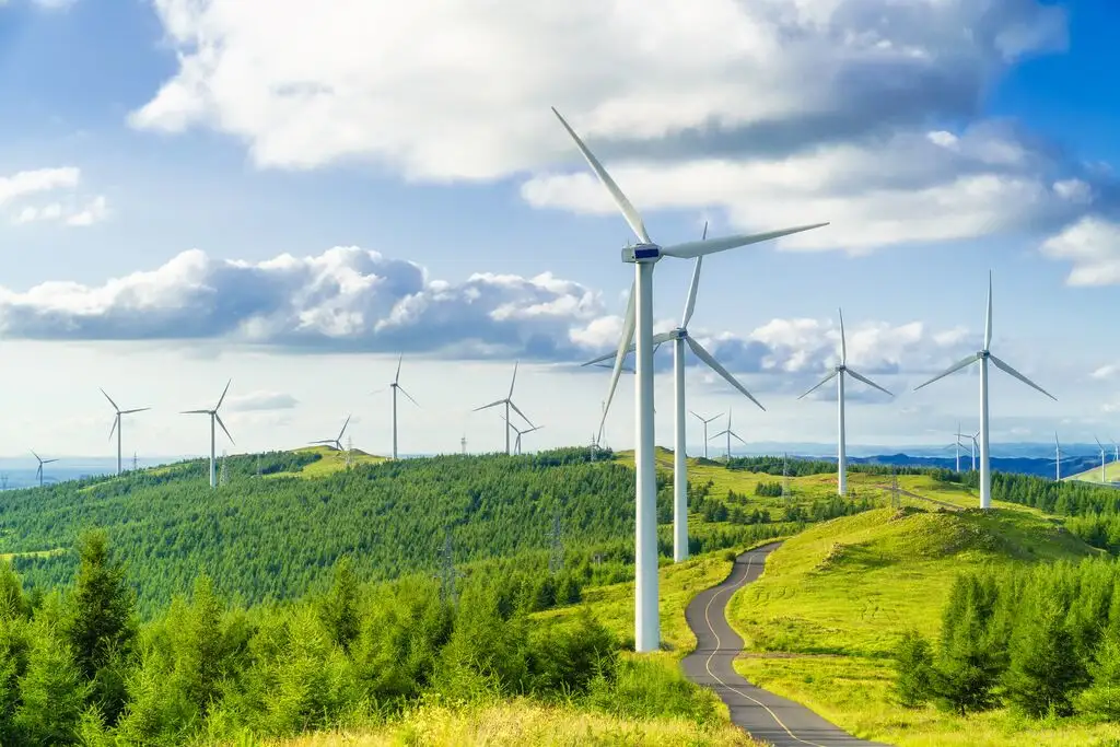 Windmills in open field.