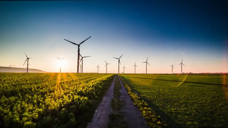 why-is-decarbonization.jpg