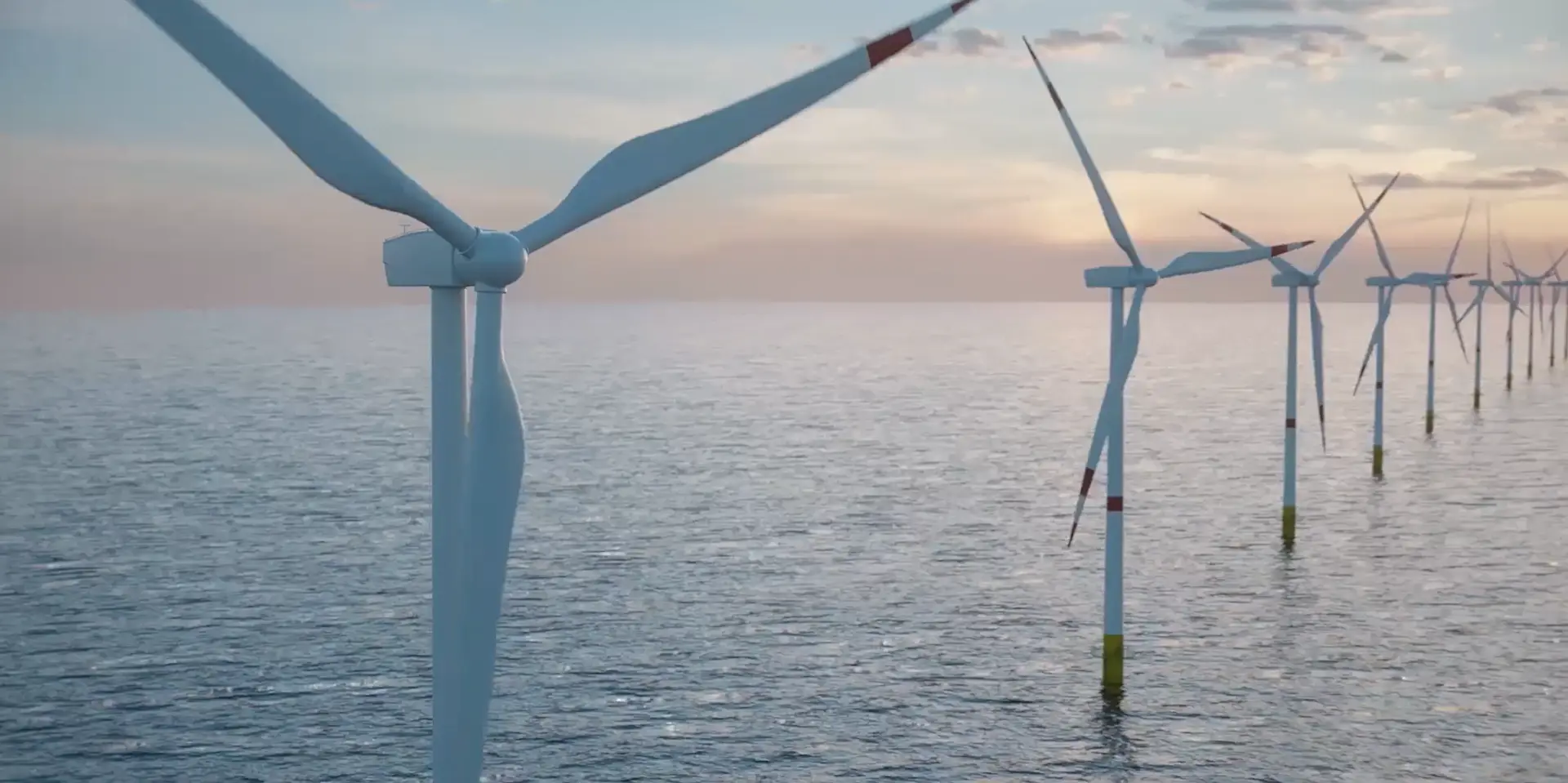 Business Energy Solutions | Shell Energy