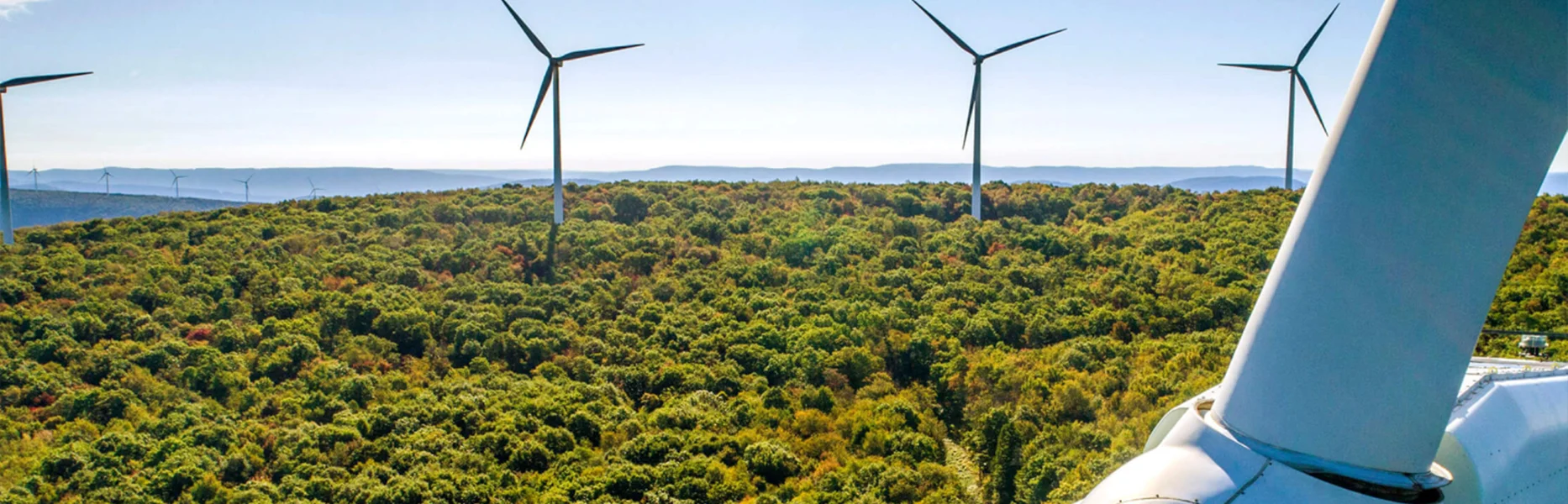 Several wind turbines generating renewable energy above a forested landscape on a clear day.