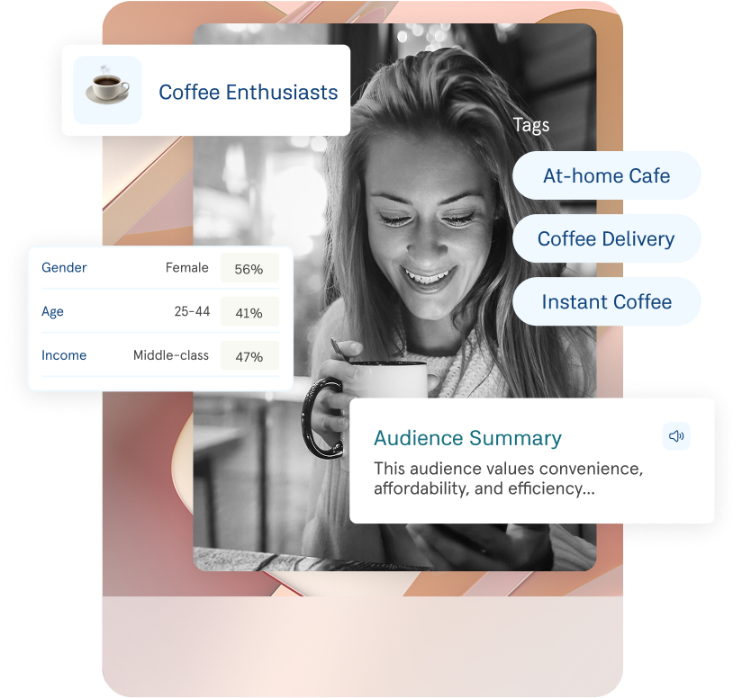 Audience Insights — AI-powered audience segmentation dashboard