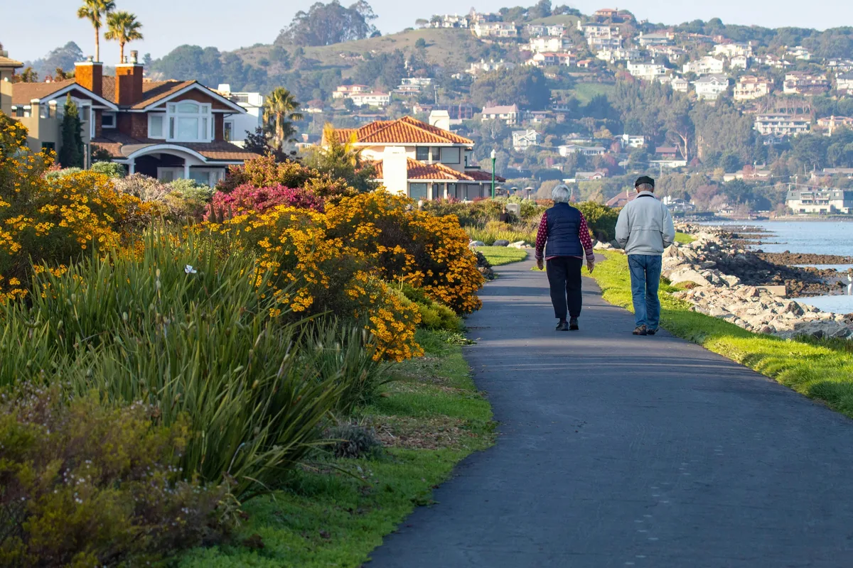 Irish State Pension: How to Claim What You've Earned