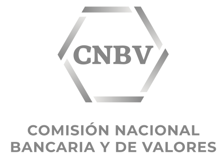 comisión-nacional-bancaria-y-de-valores