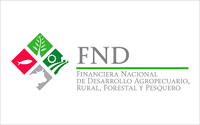 fnd