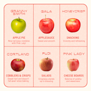 Cravings The Best Types Of Apples For Cooking Baking Salads Snacking