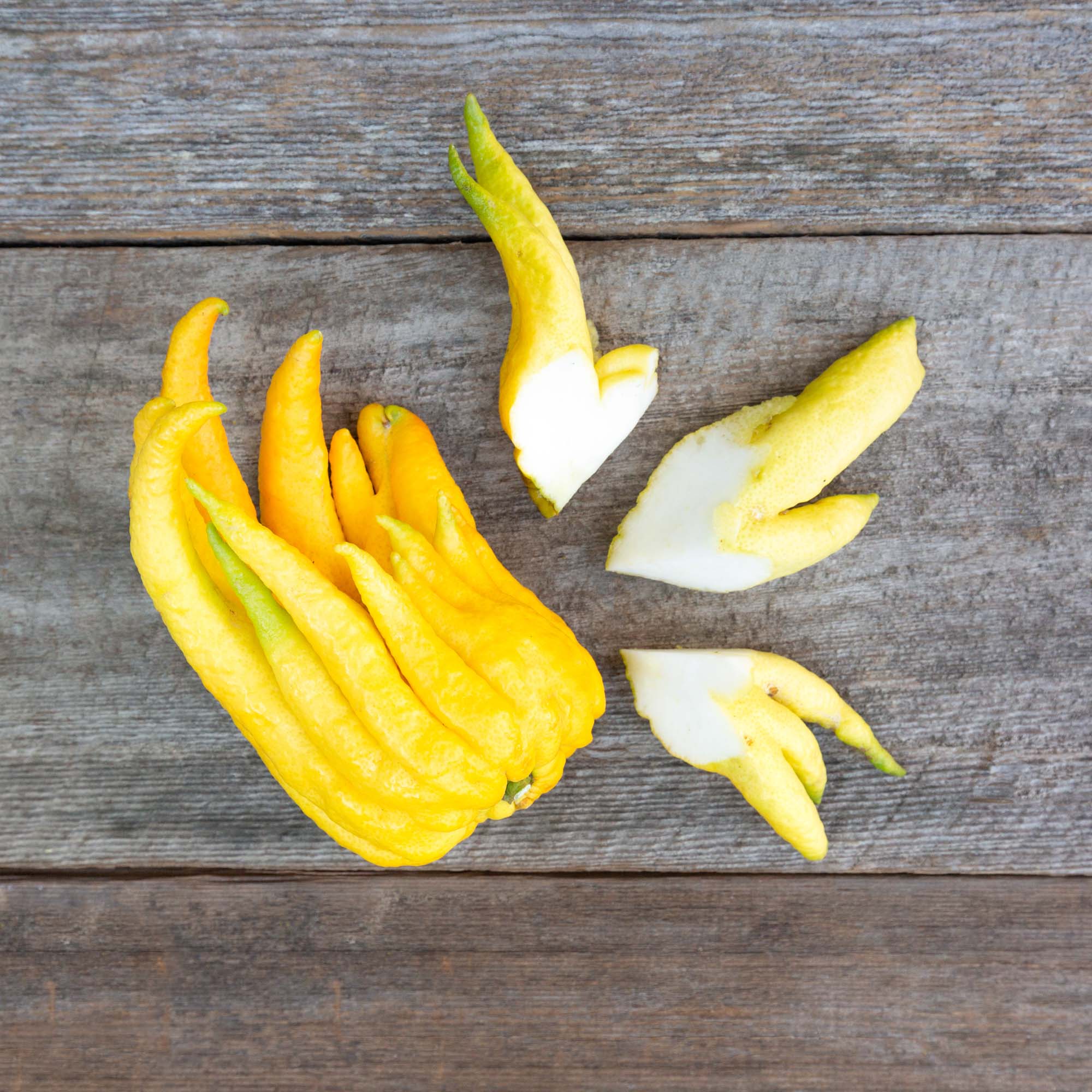 buddahs-hand-citron-flatlay-2 5000x