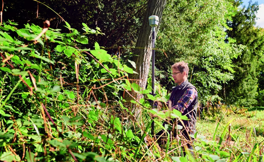 surveyor in trees