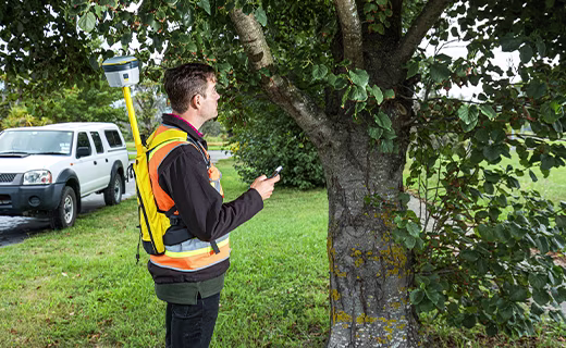 surveyor in park next to a tree