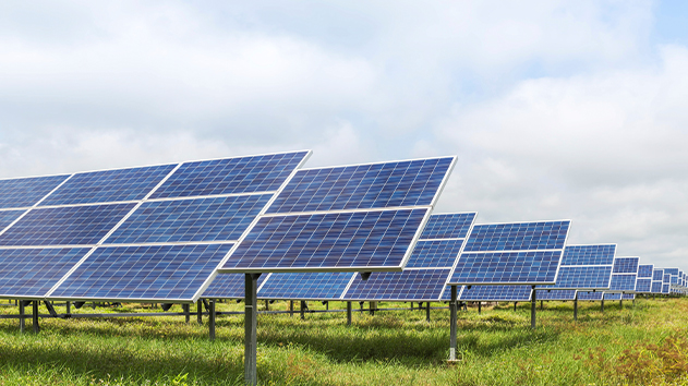 Solar farm carefully positioned panels to maximize sunlight capture and energy production