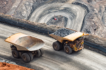 From data collection to infield action