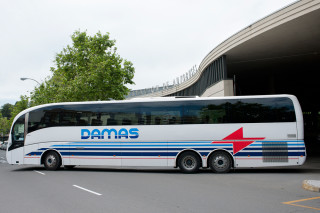 Damas bus