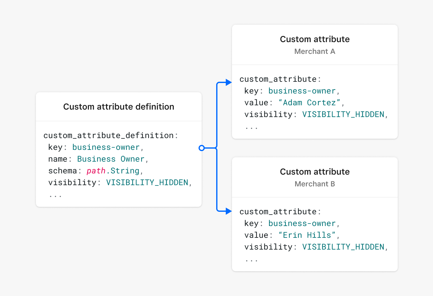 A diagram showing a custom attribute definition for “business owner“ used by custom attributes on multiple merchants.