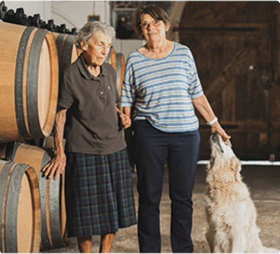VP Clos De La Vierge Image