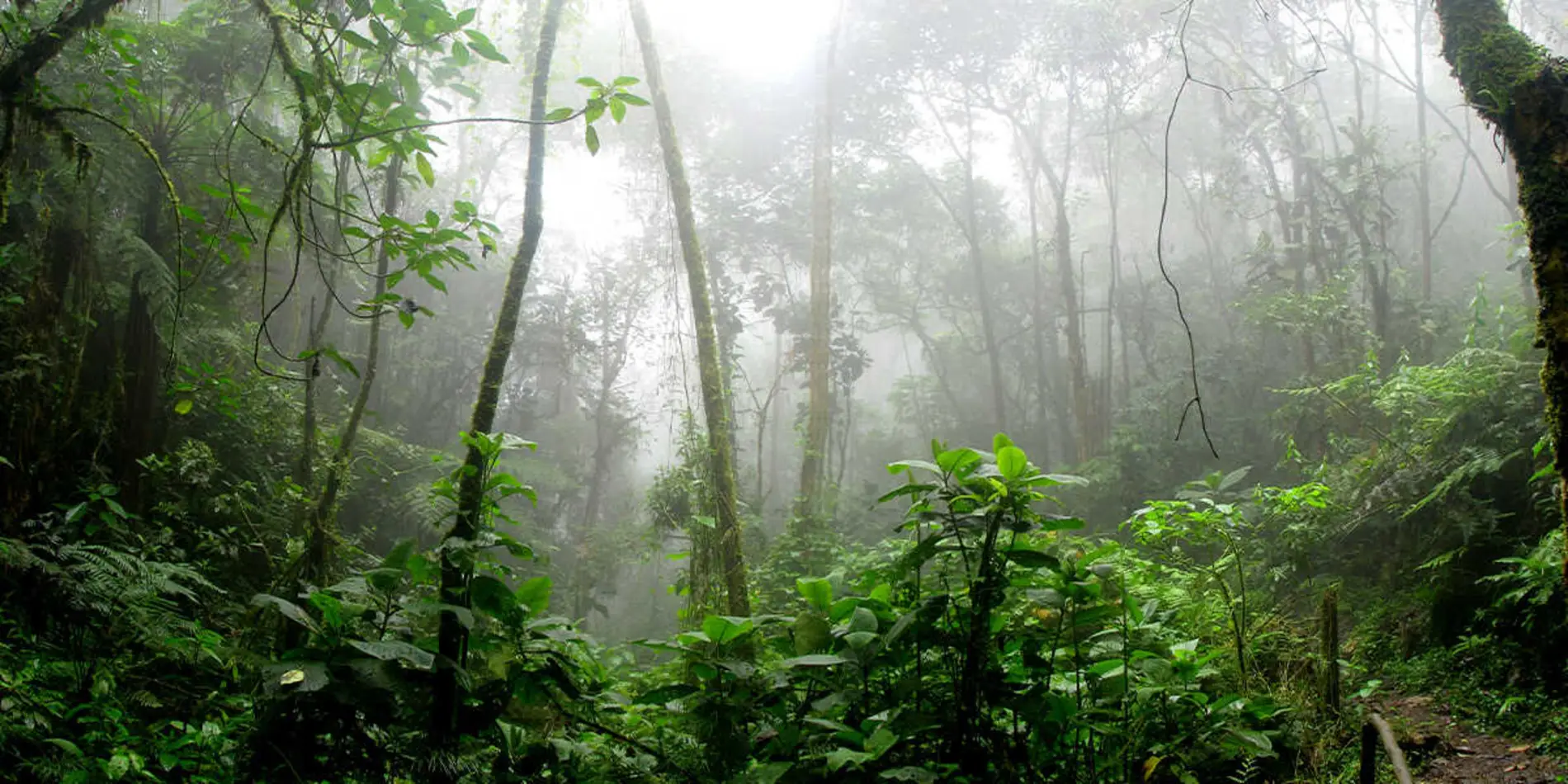Imagen de la ciudad de La-chorrera.