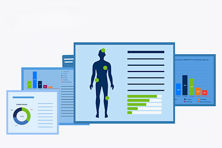 Illustration of poster graphs and charts