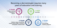 What Major Do I Study To Become A Dermatologist EducationScientists