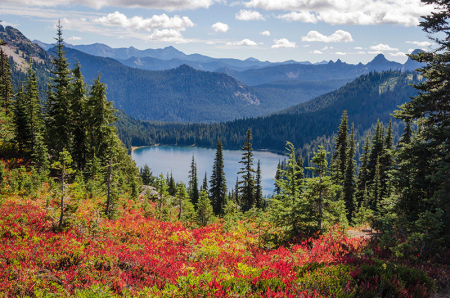 A beautiful panoramic view of forested mountains at Rainier National Park.