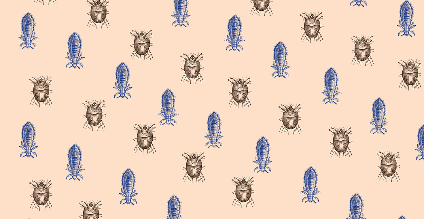 Banner for eradicating ectoparasites