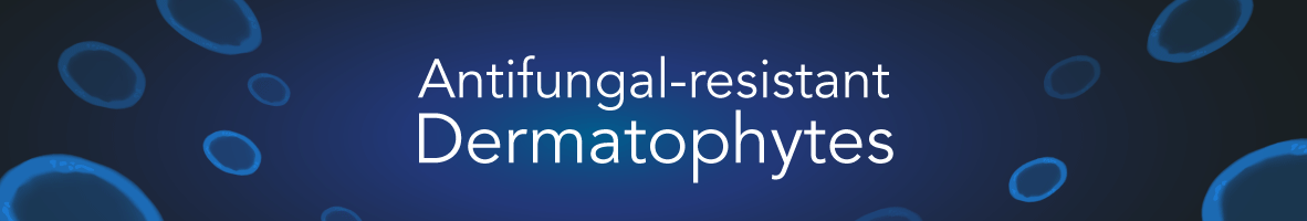 Banner for antifungal-resistant dermatophytes