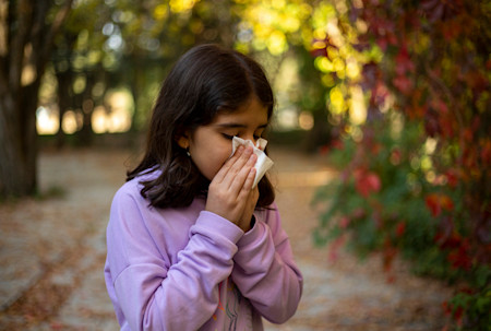 A five-year-old girl with atopic dermatitis is outdoors blowing her nose because she has also developed hay fever. 