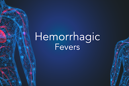 Hemorrhagic Fevers card