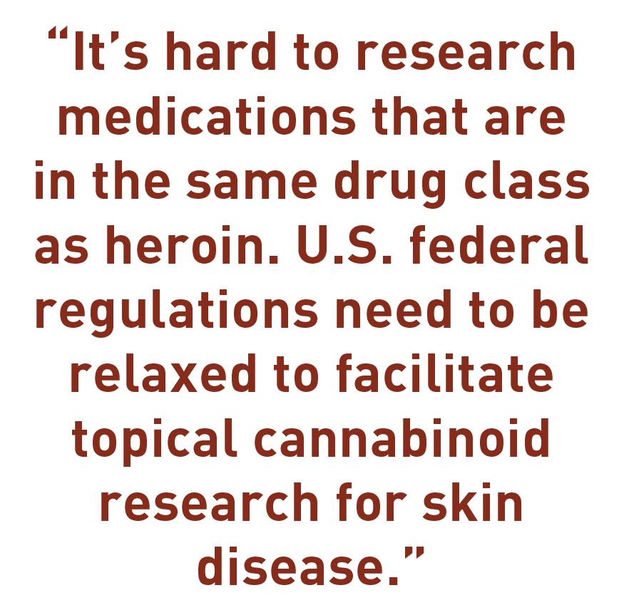 DermWorld>2020>June>CBD potential or placebo>cbd-quote