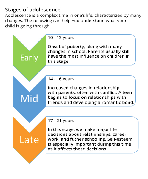 Stages of adolescence