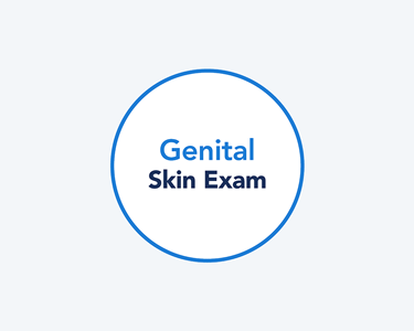 Card illustration for genital skin exam