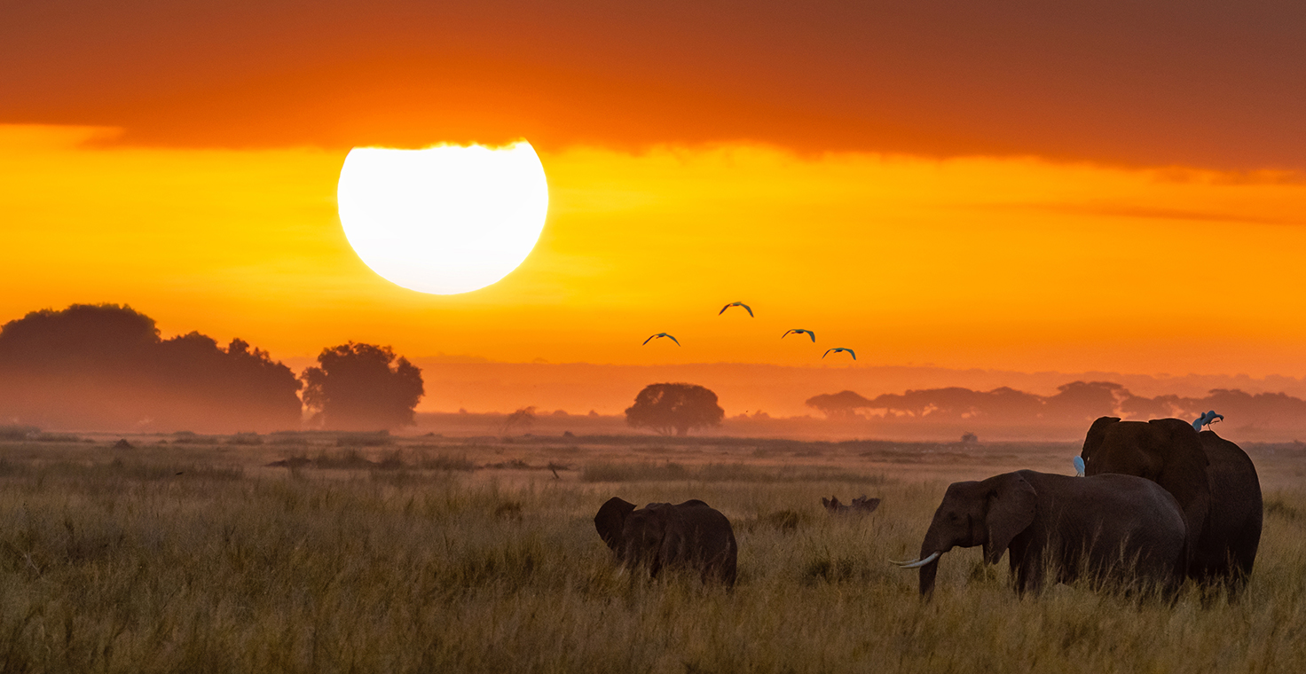 Image for spotlight on sub-saharan dermatology