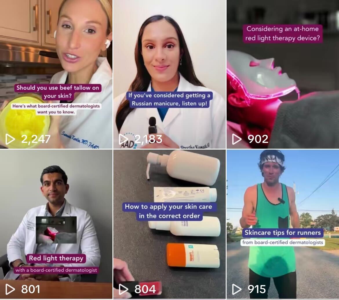 Screen of social media posts on TikTok for November 2024