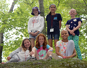 Camp Discovery forest photo