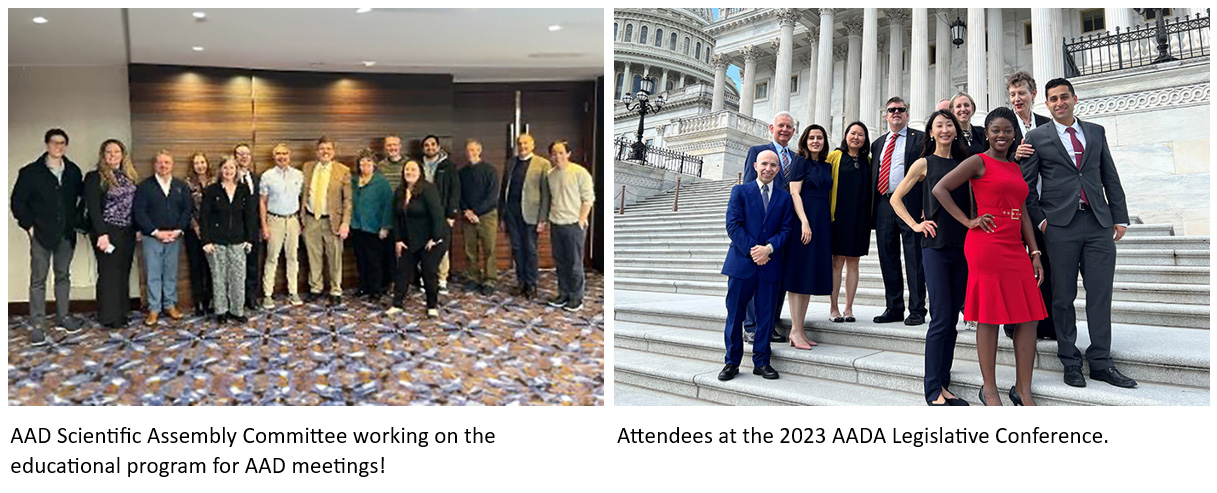 Photos of legislative conference and science committee for DermWorld January 2024