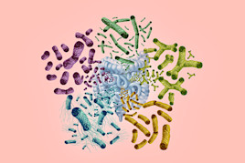 Homepage card 1