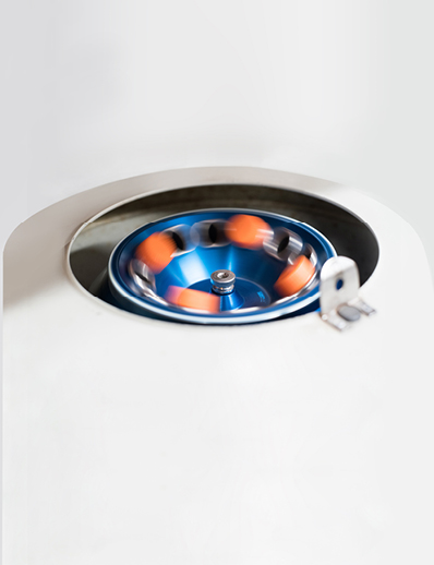 Dermatology World abstract illustration of roulette wheel