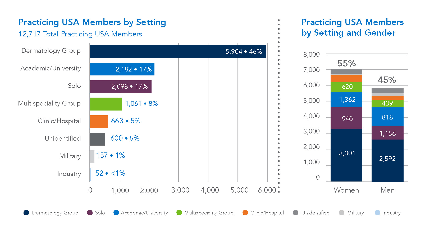 AAD members by practice setting and gender