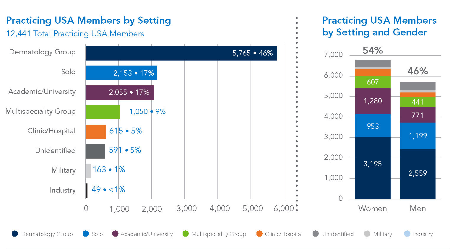 AAD members by practice setting and gender