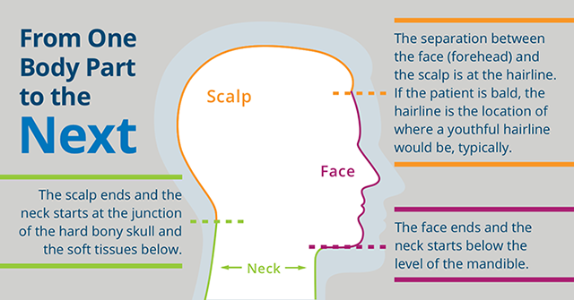 Biopsy location code infographic