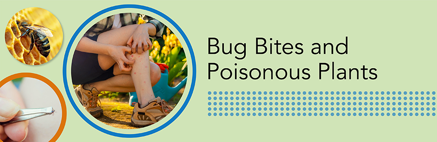 Good Skin Knowledge: Lesson plans: Module 5: Bug bites & poisonous plants - hero image