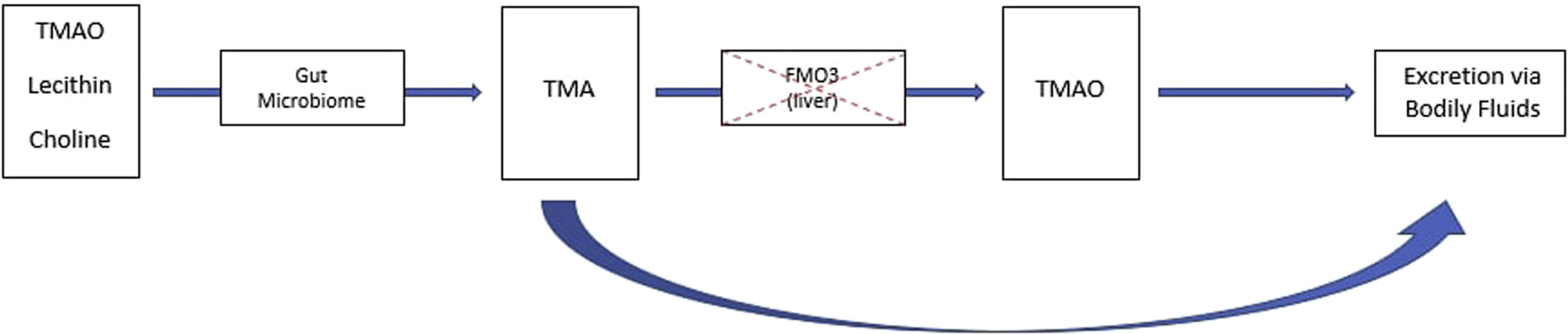 Image for DWII of TMAO reaction