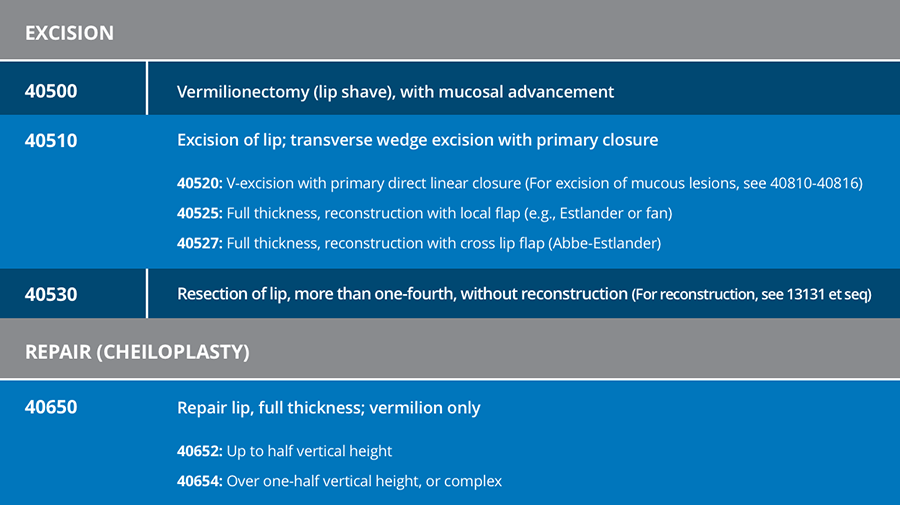 Lip biopsy infographic