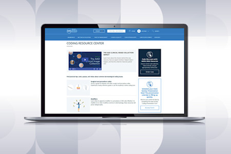 Screen capture of the AAD Coding Resource Center.