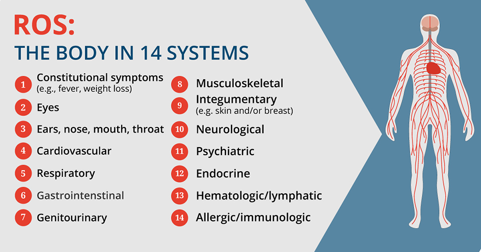 ROS systems infographic
