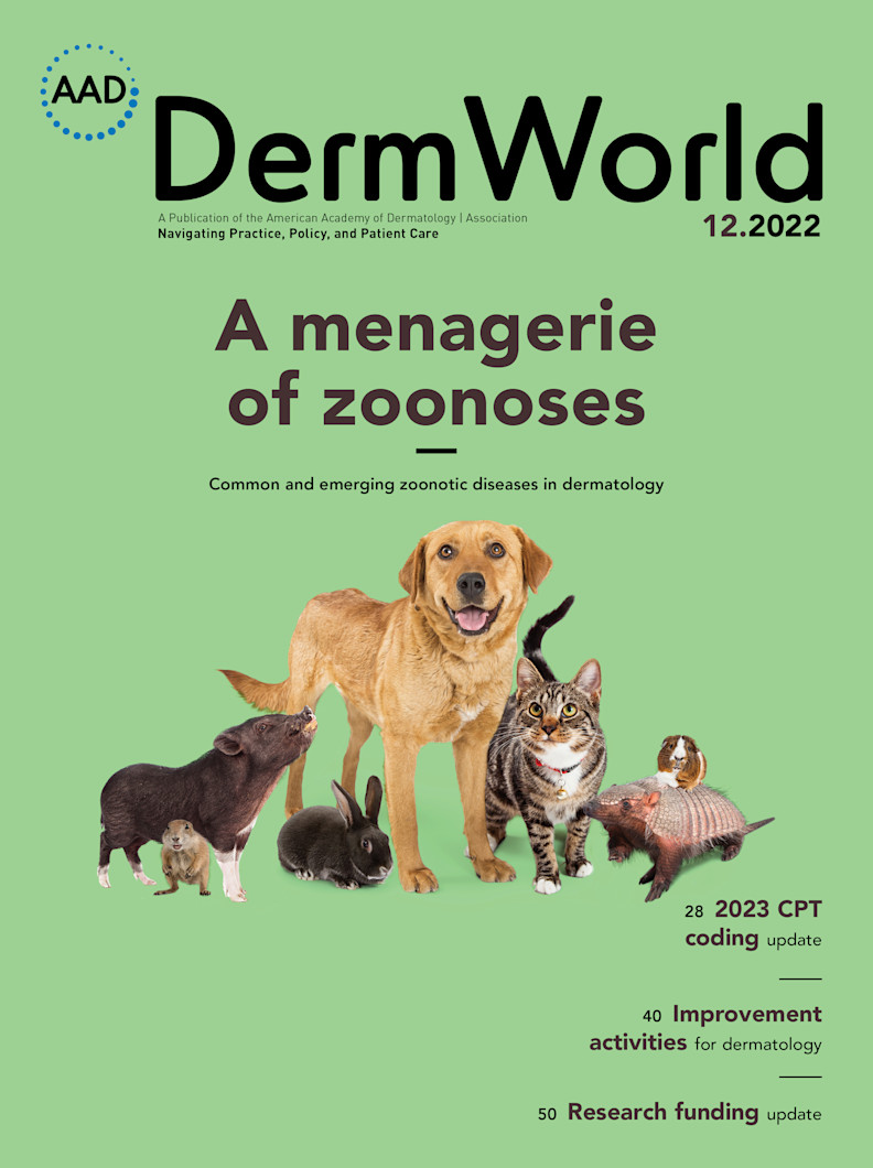Cover image December 2022 DermWorld