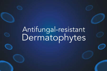 Card illustration for antifungal-resistant dermatophytes