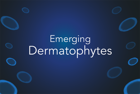 Card illustration for antifungal-resistant dermatophytes