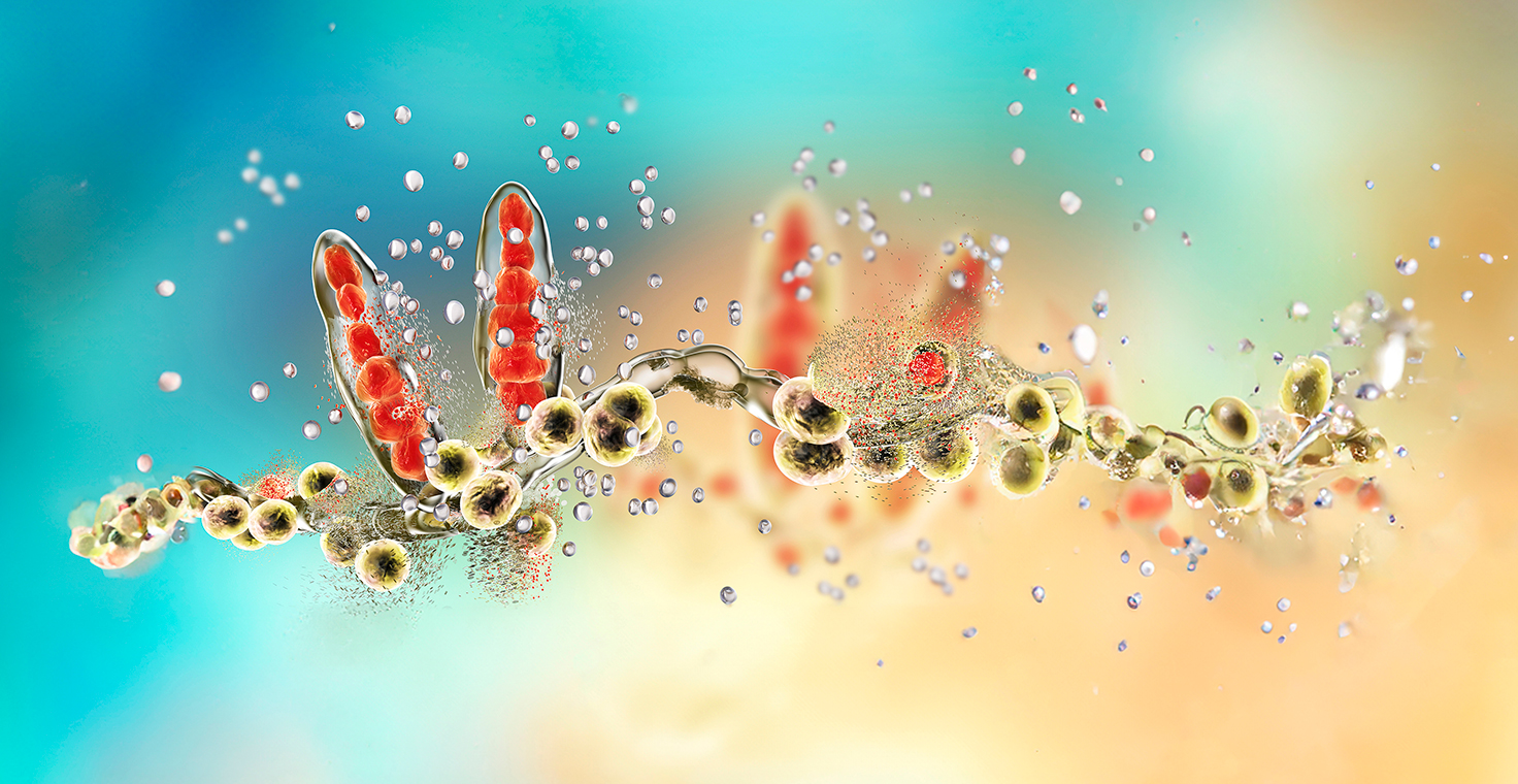 Banner for fighting fungi