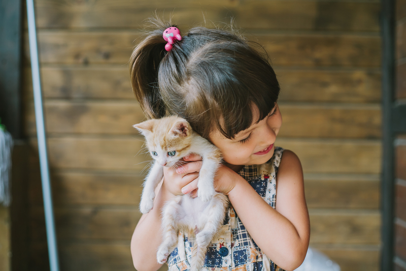109 Country Cat Names Nameberry