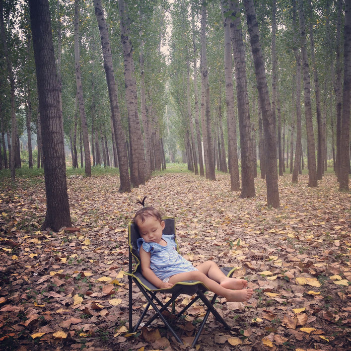 Arbor Day Names If you love the tree but not the name Nameberry