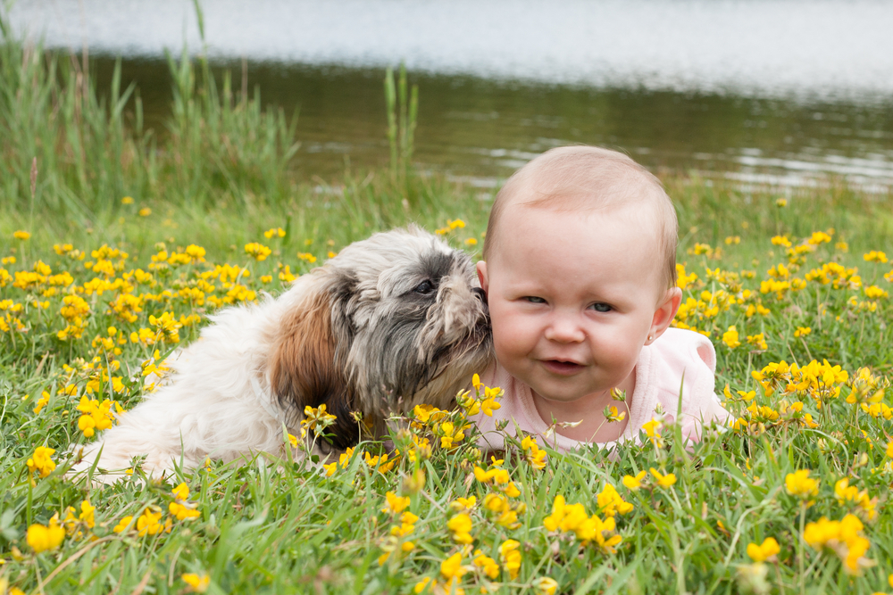 Top 100 Most Popular Dog Names in 2022