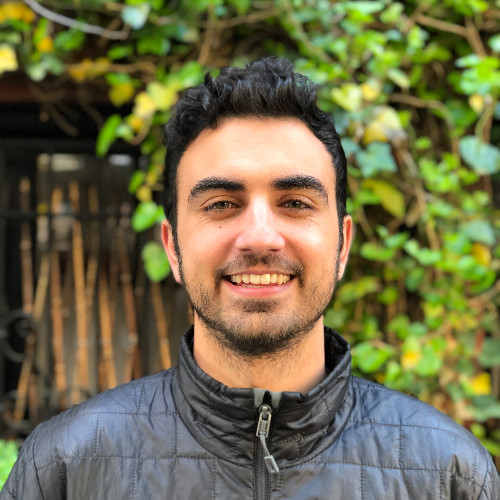 Faraz Milani